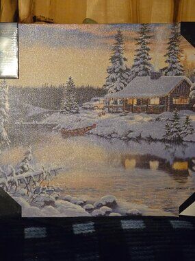 Wild Wings Lighted Wrapped Canvas NWT